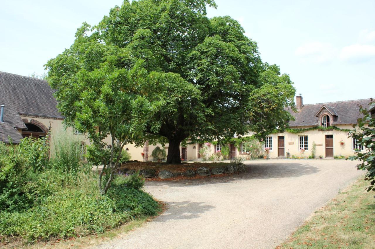 Gite Des Etangs De Beaulieu Le Plessis-Dorin Exterior photo